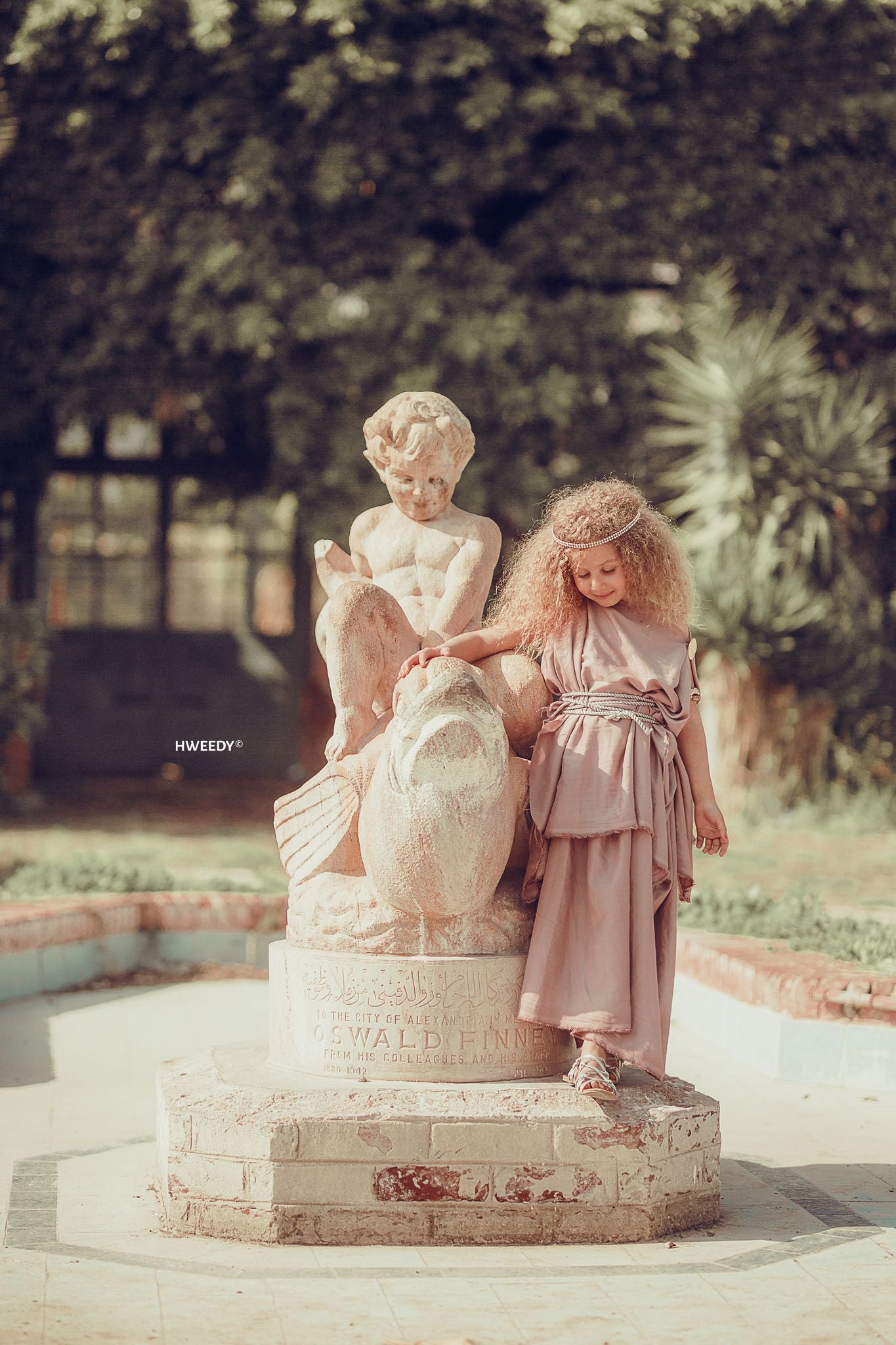 Book grecian session - image 5