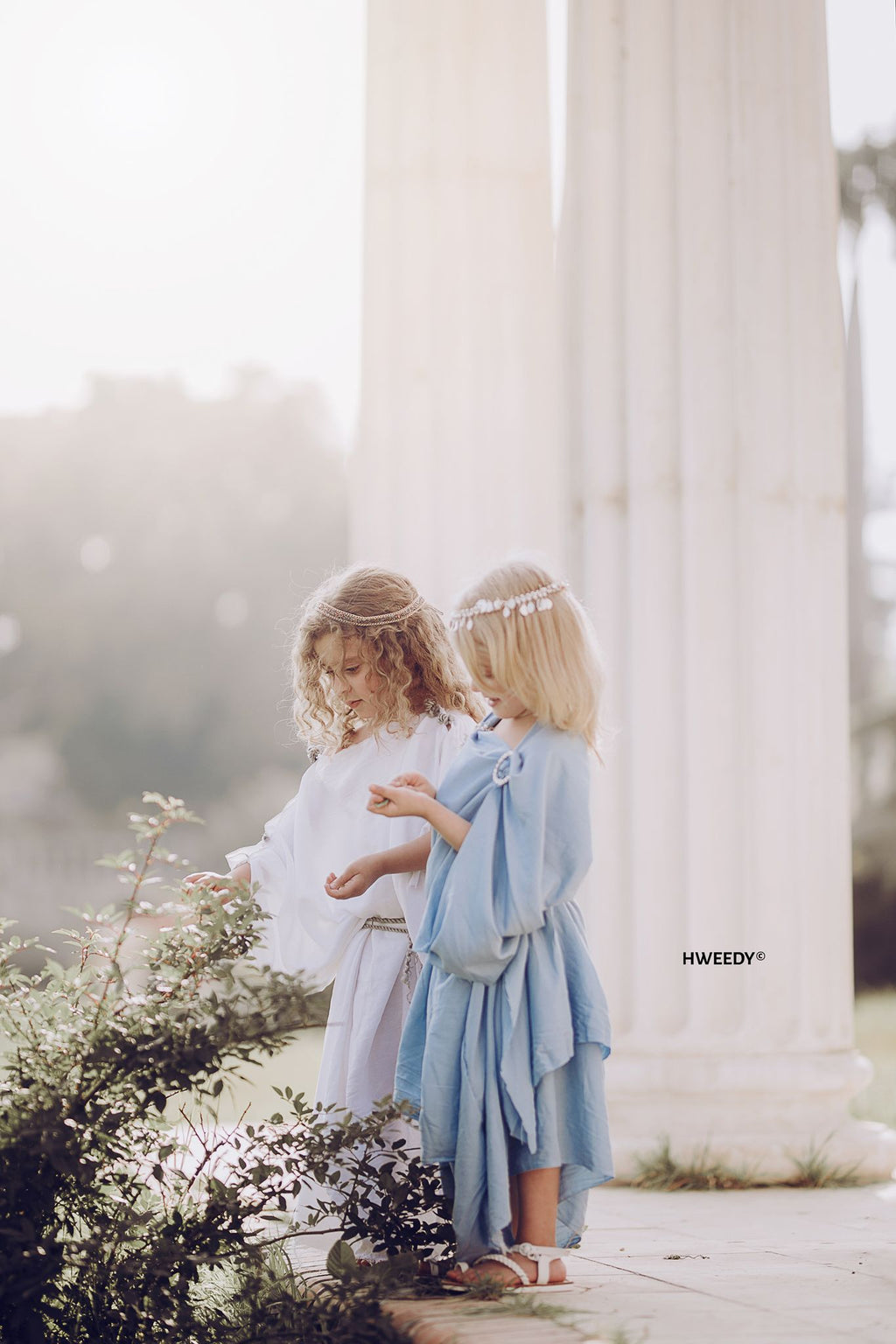 Book grecian session - image 7
